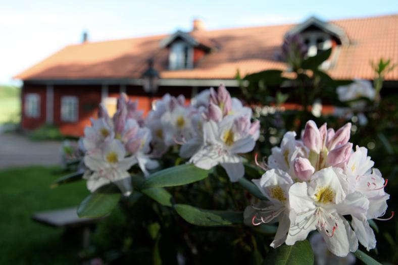 Klefstad Gard Linghem Exterior foto